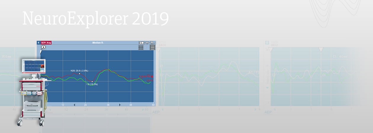 NeuroExplorer 2019